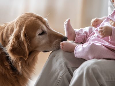 The Rise of Traditional Dog Names as Baby Names in 2025